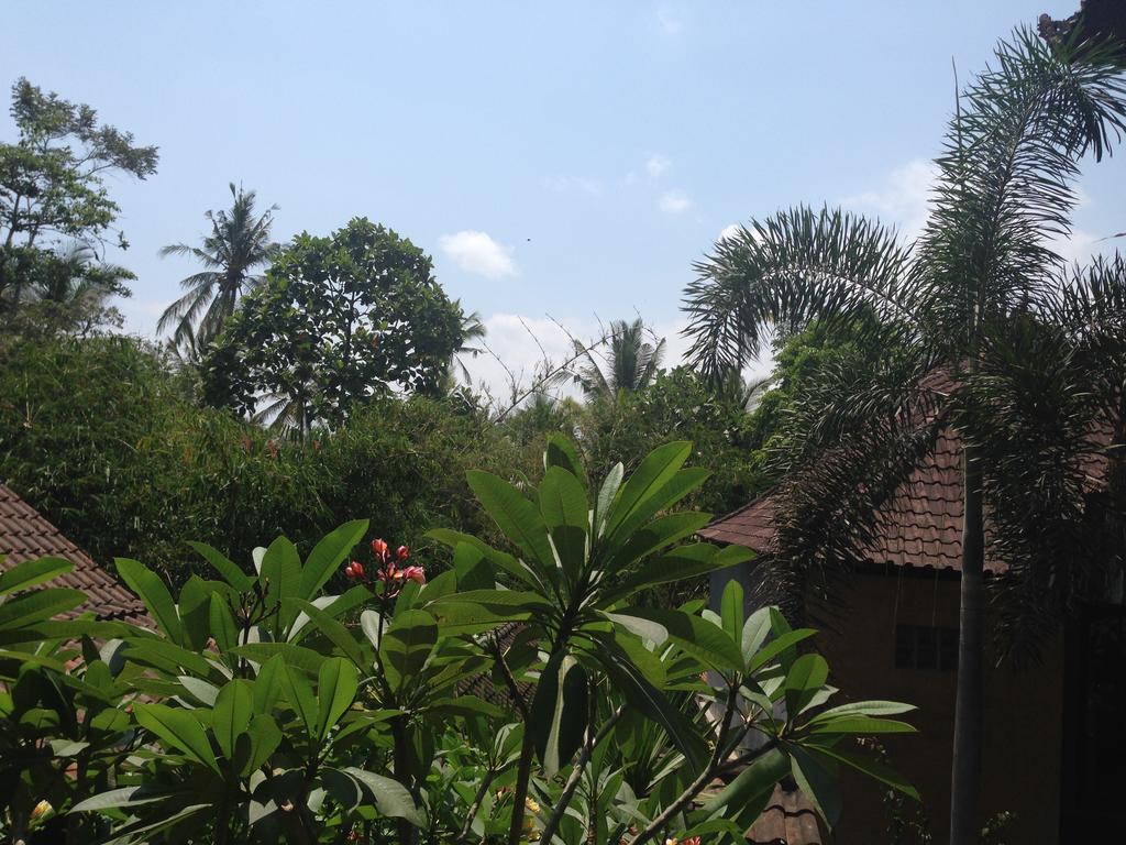 Ubud Rooms B&B Chambre photo