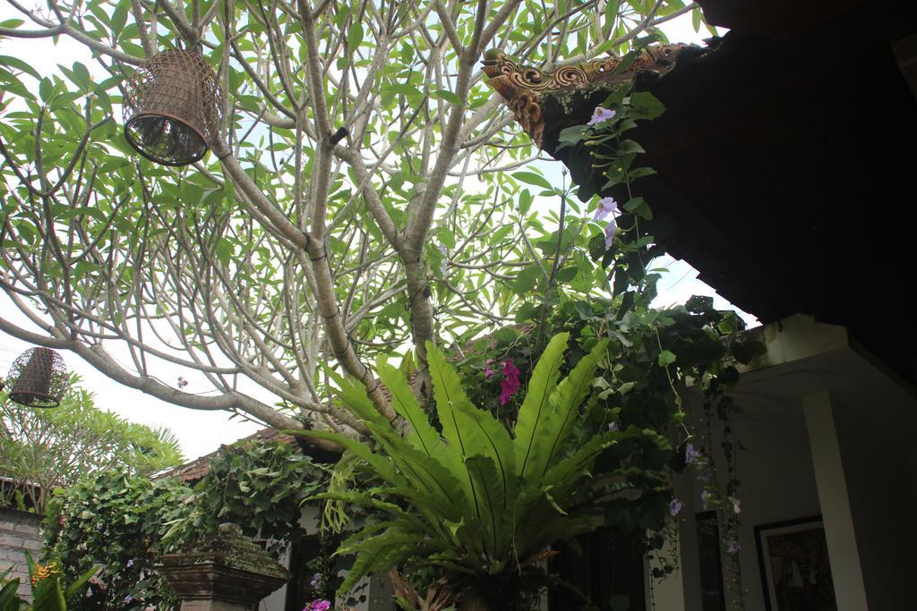 Ubud Rooms B&B Extérieur photo